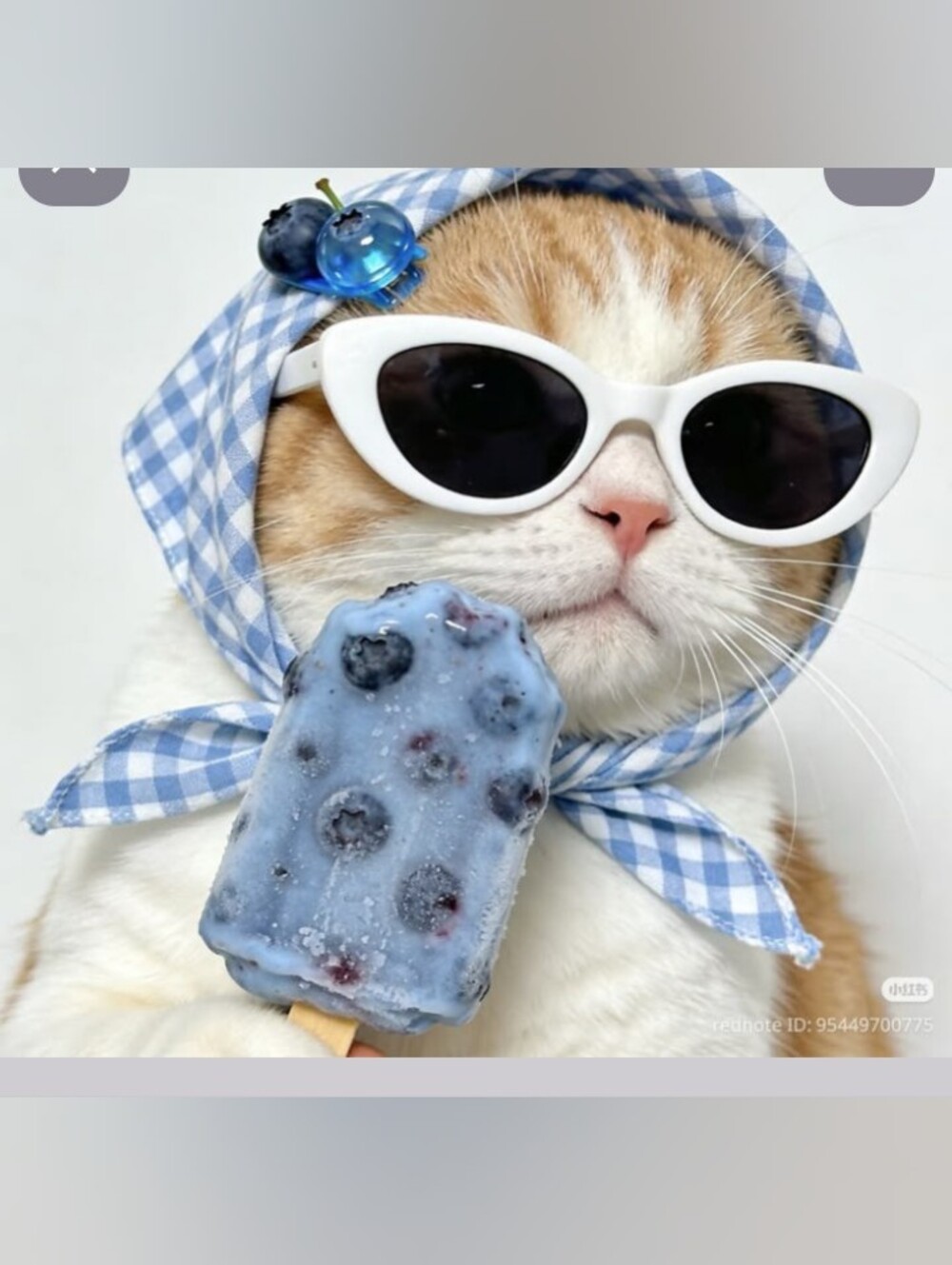 Floral Girls Dress with Front Bow : CAT/DOG